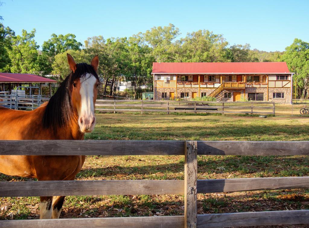 Pilliga Pottery Creative Farmstay Coonabarabran Zimmer foto